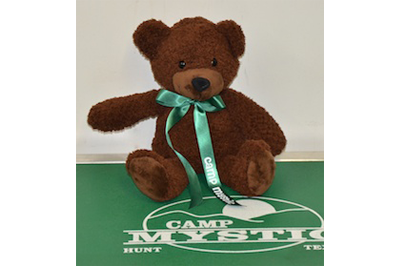 Large Teddy Bear - $20.00