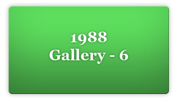 1988 Gallery6 Button