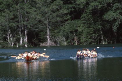 1989-102